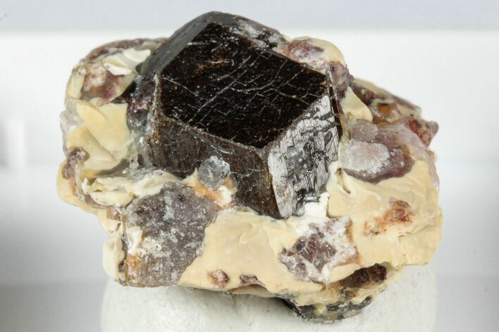 Lustrous Chocolate Fluor-Buergerite Crystals - Mexico #345043